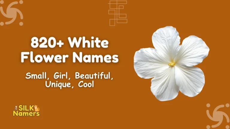 White Flower Names
