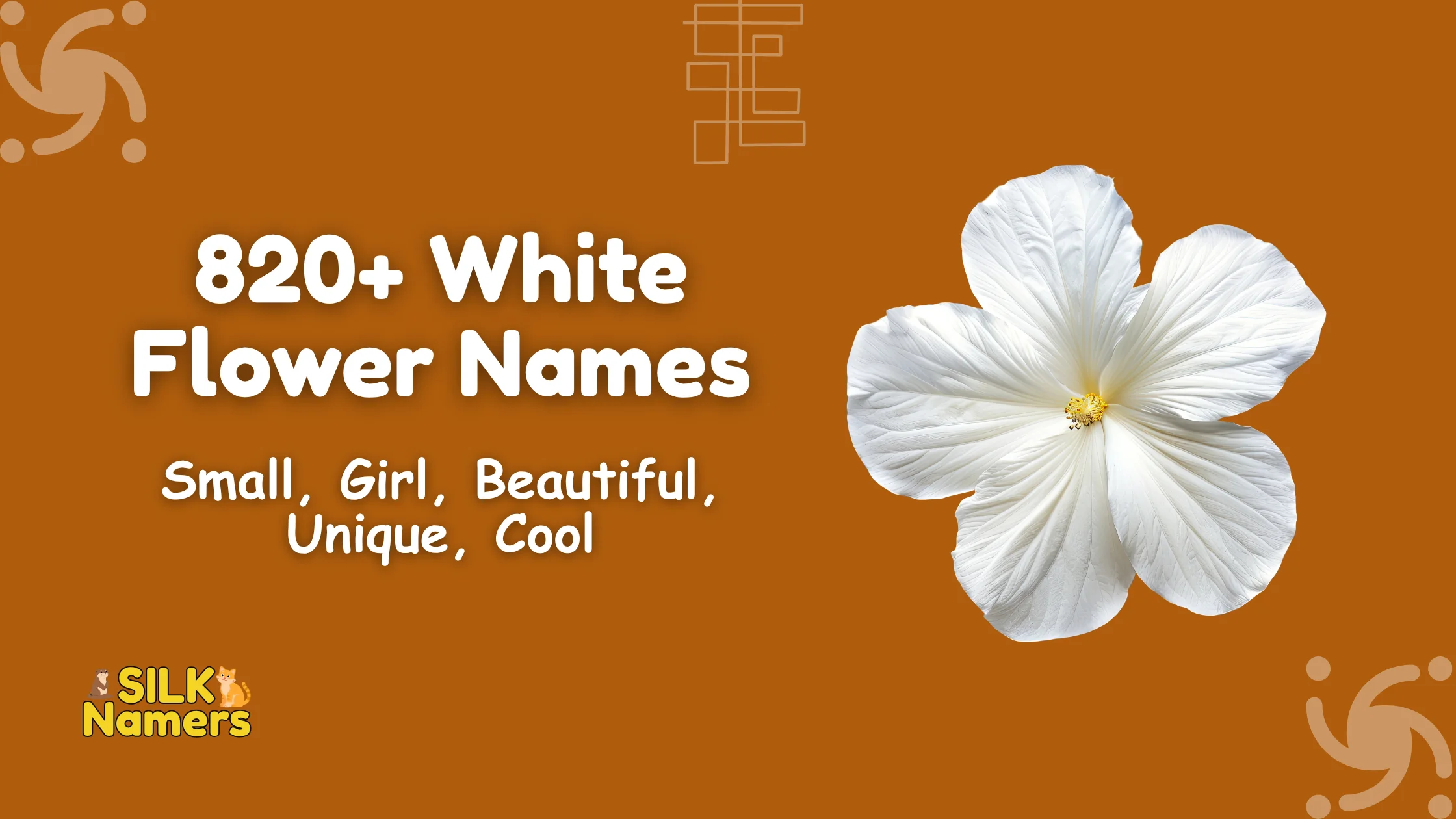 White Flower Names