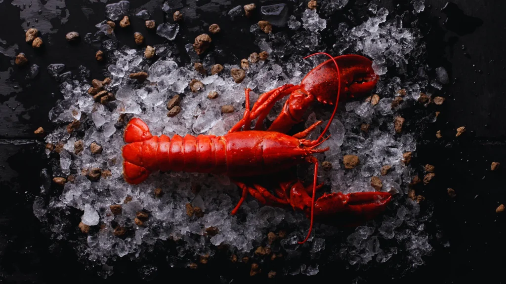 Wild Lobster Names