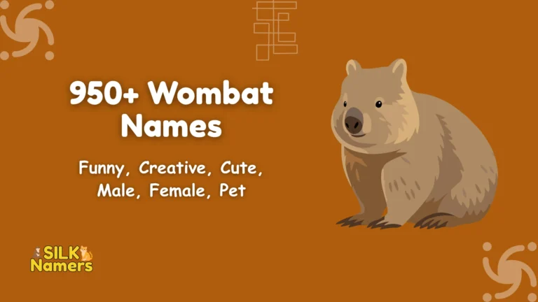 Wombat Names