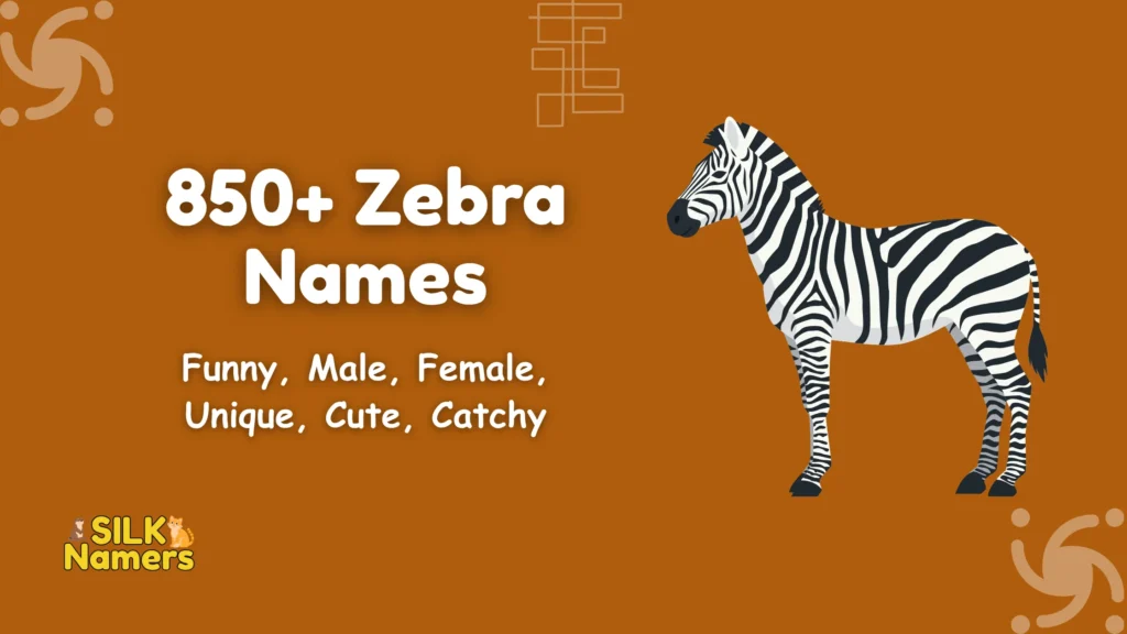 Zebra Names