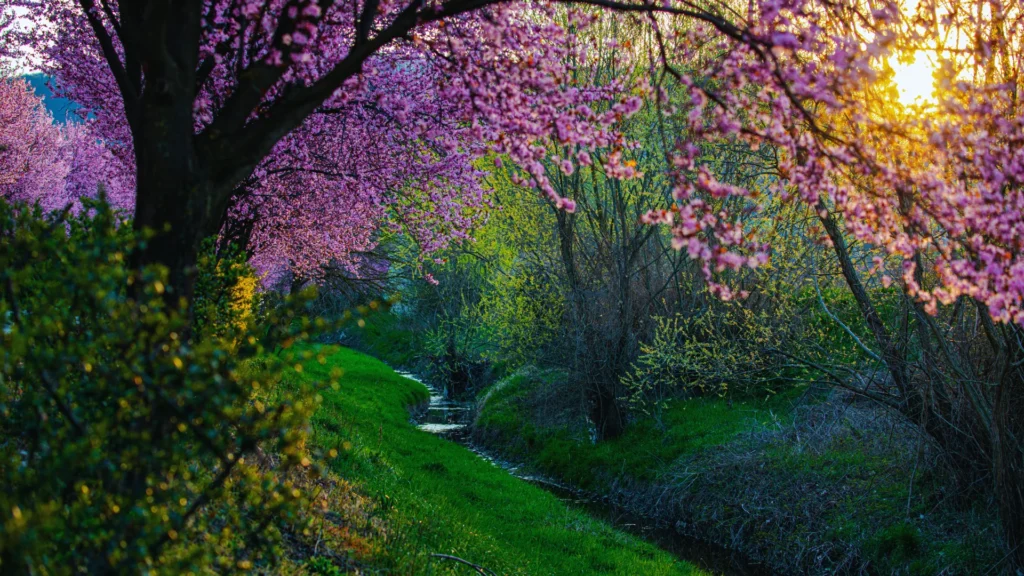 rare wild flowers names