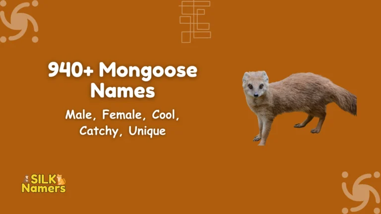 Mongoose Names